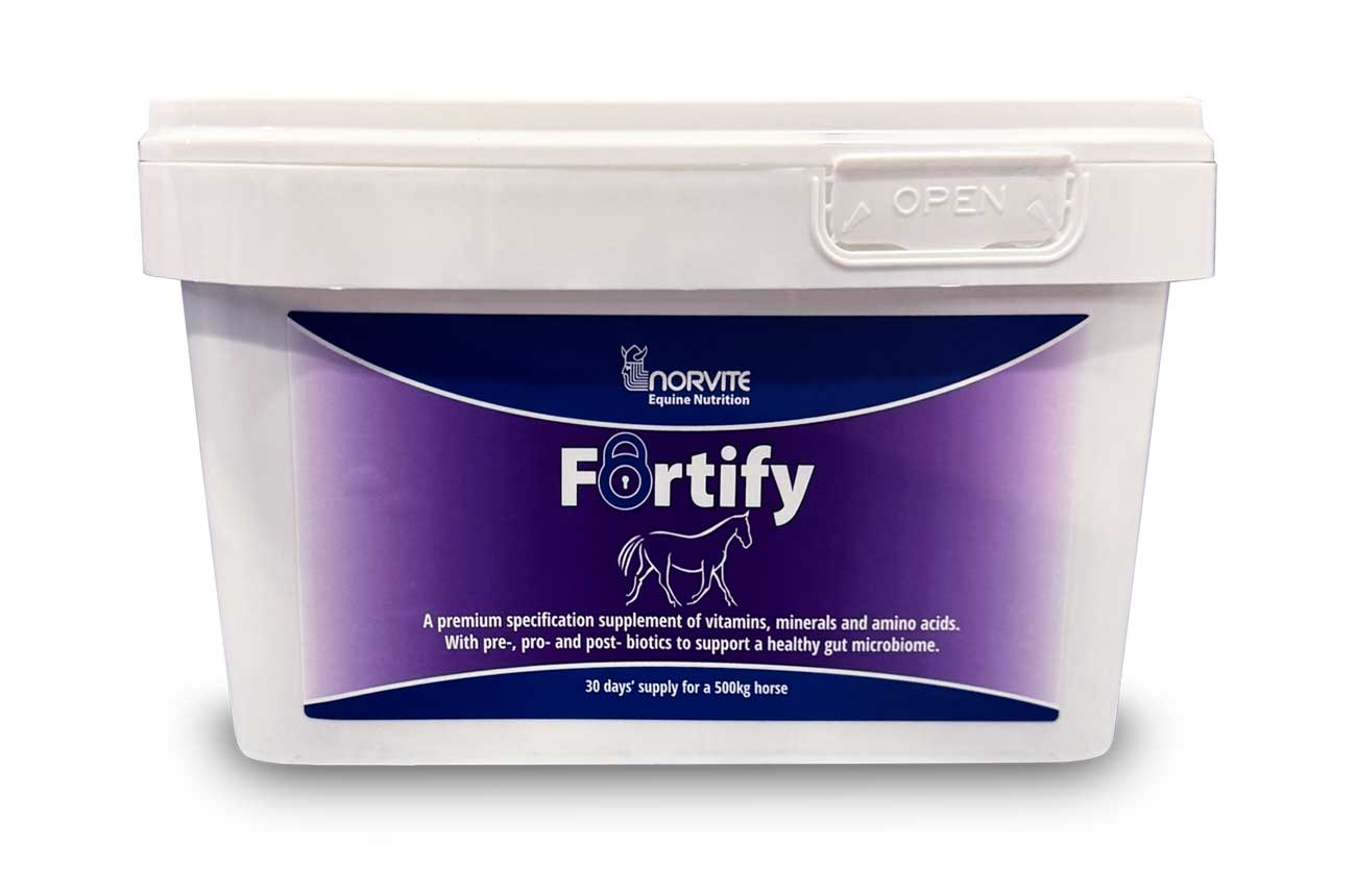 Fortify-Norvite-Equine-Nutrition