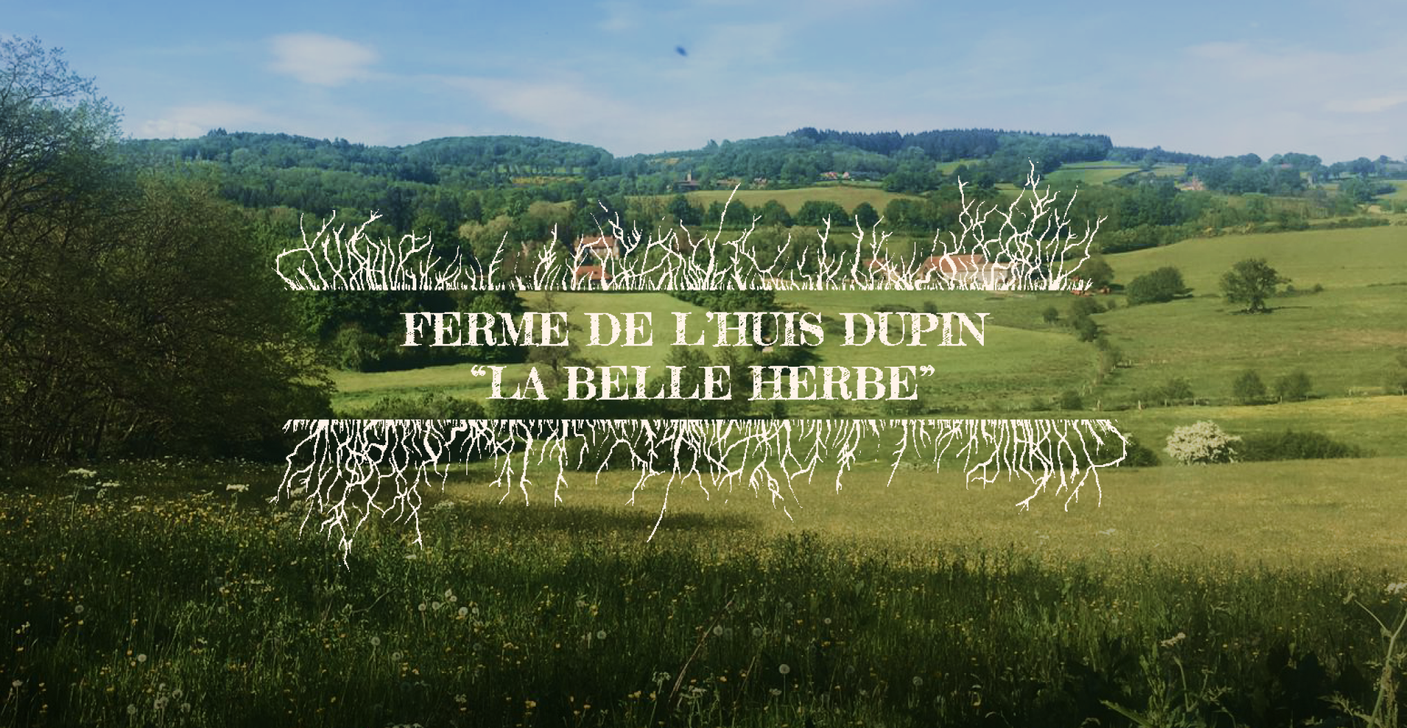 Marché de Producteurs à la Ferme de L'Huis Dupin - Gâcogne