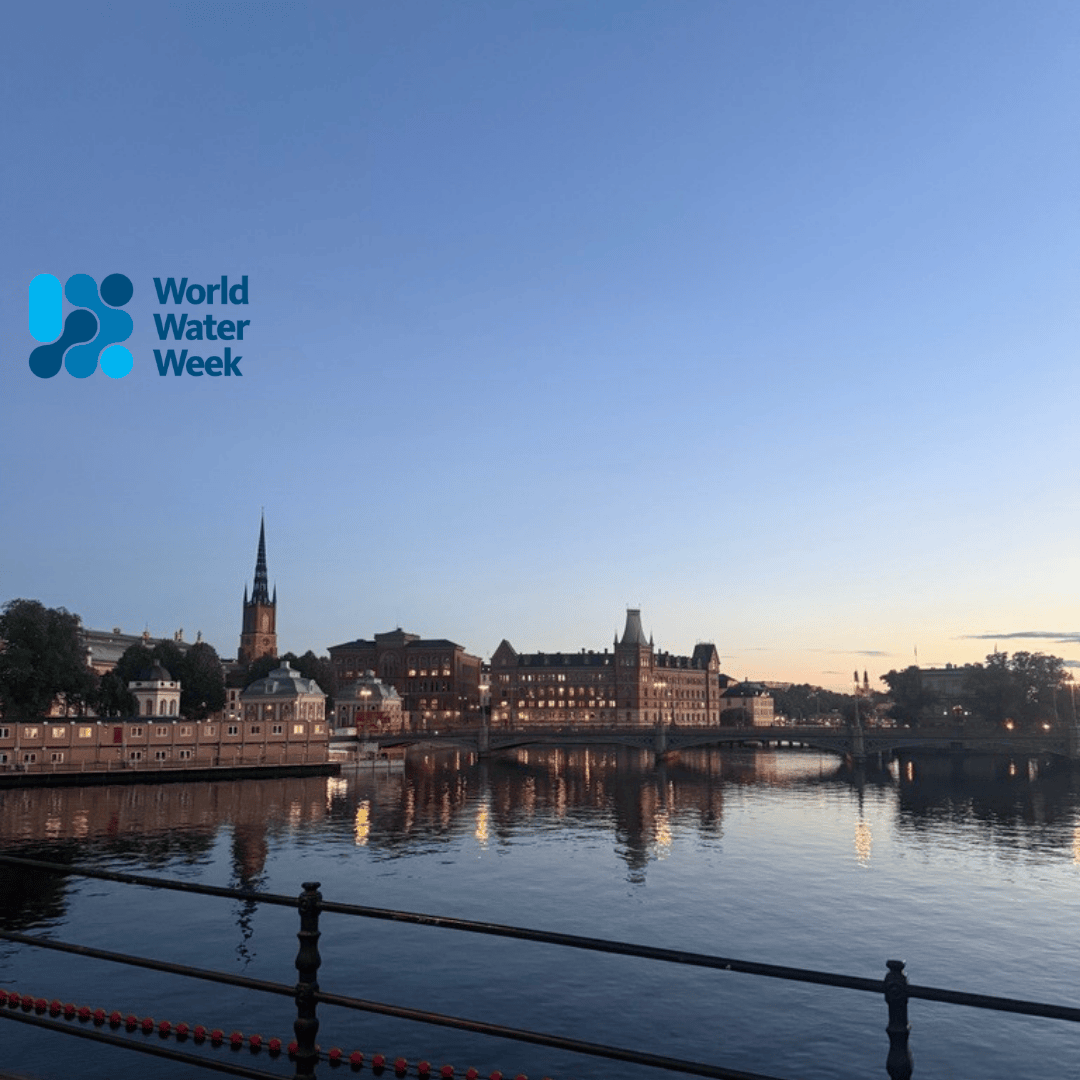 A picture James took while in Stockholm with a WWW logo in the corner