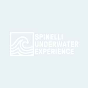 Spinelli Underwater Experience