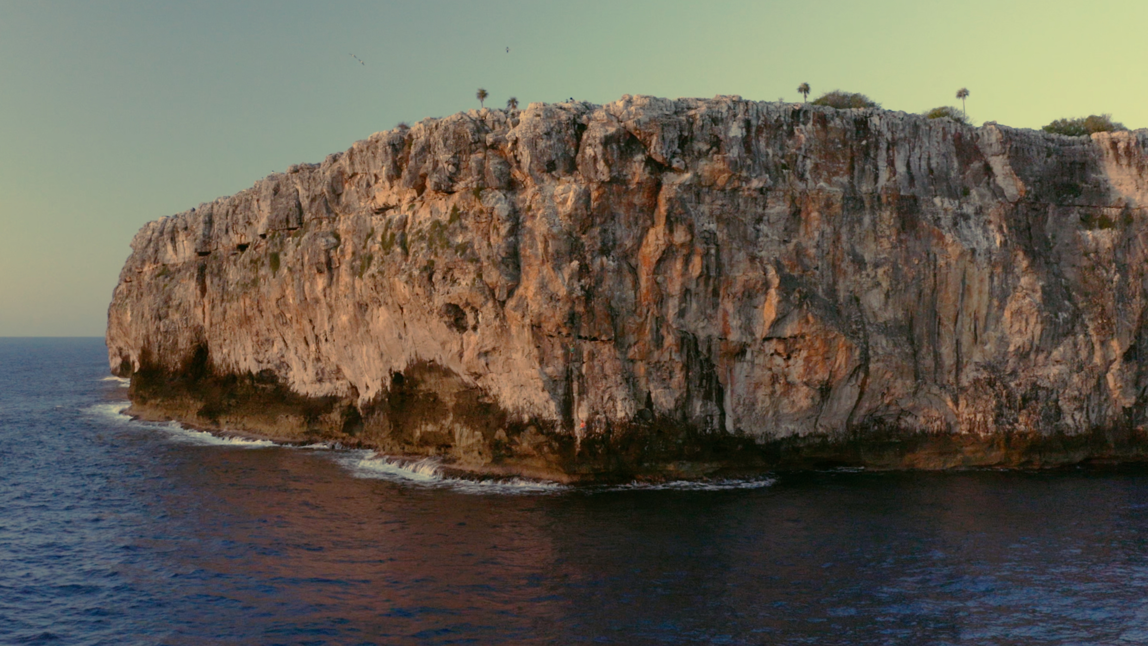 Limestone sea cliff at sunrise with seabirds perched along the ridge