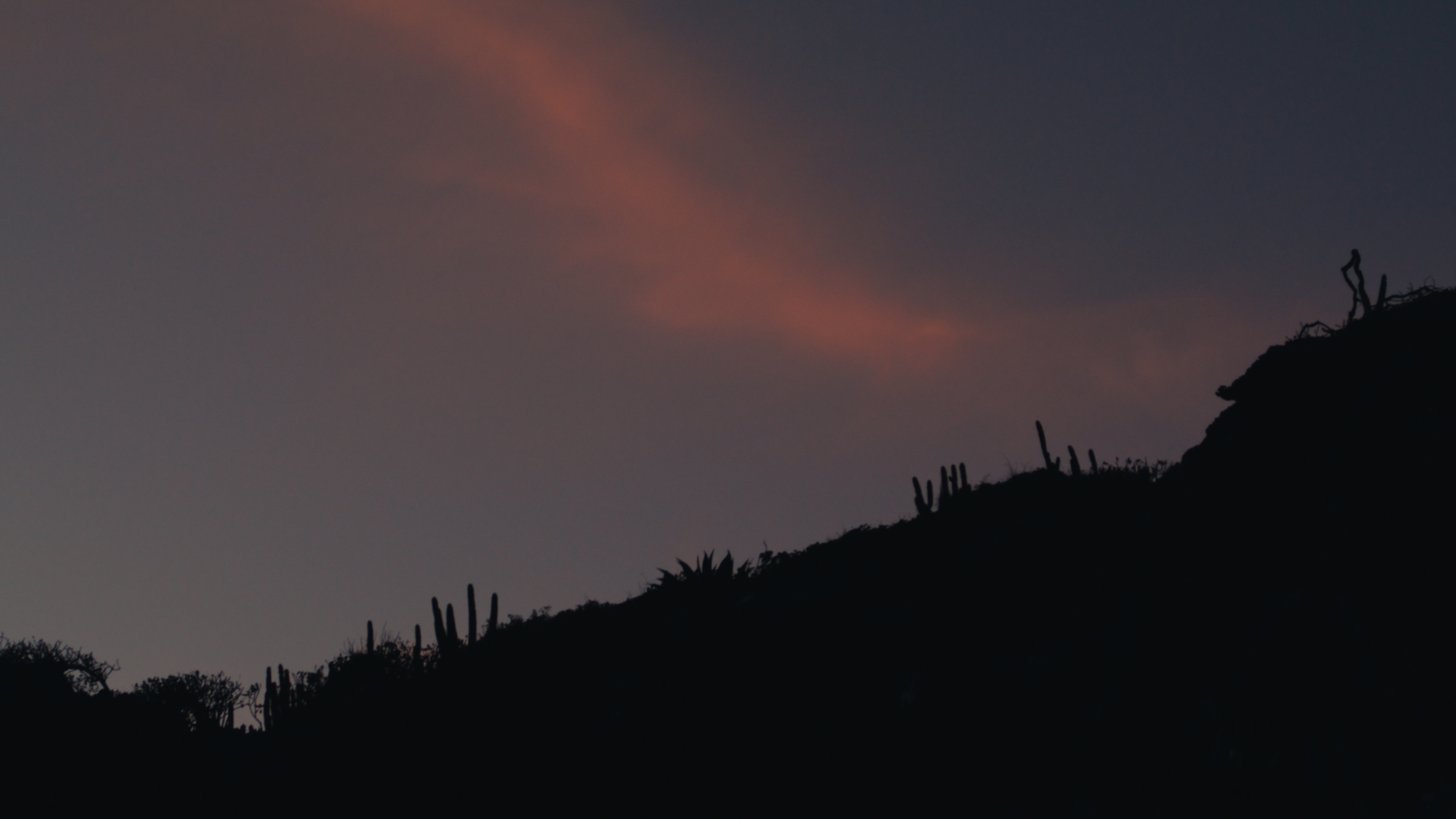 Pink dusk sky over a cactus-lined ridge on Cayman Brac