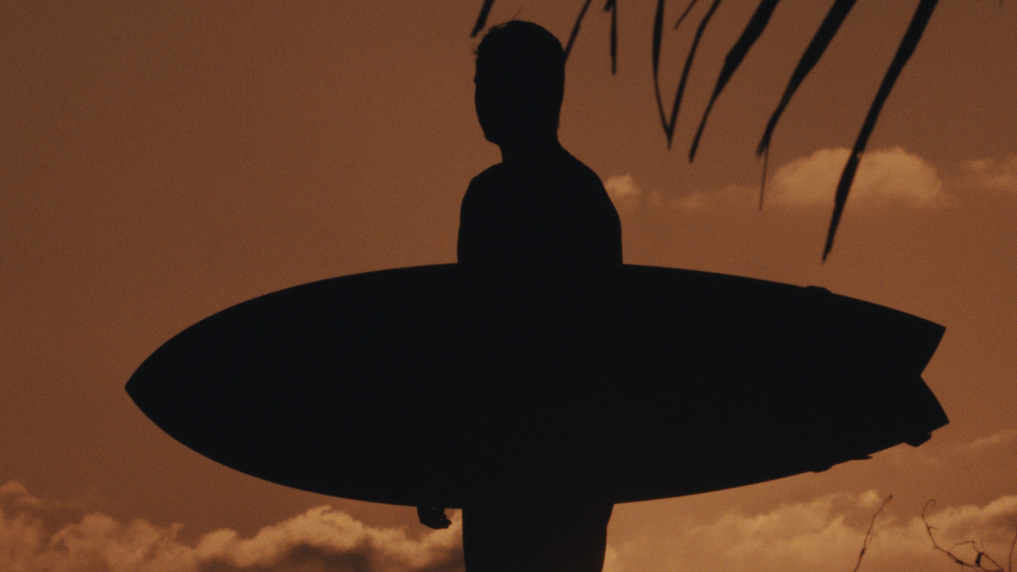 Sepia-toned silhouette of a surfer with his board beneath a palm tree
