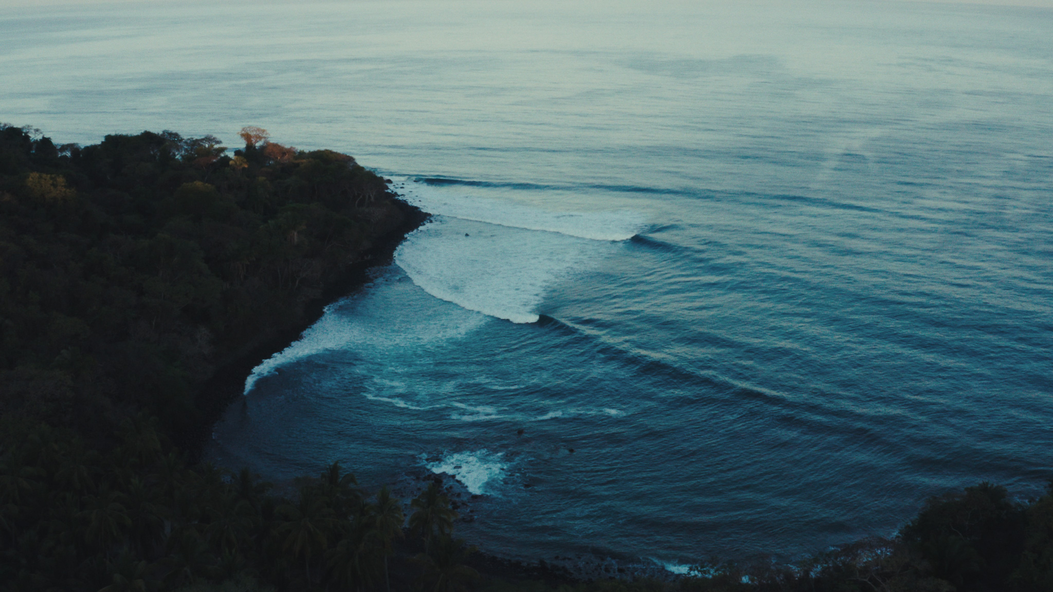 Forested cove with peeling wave lines rolling in