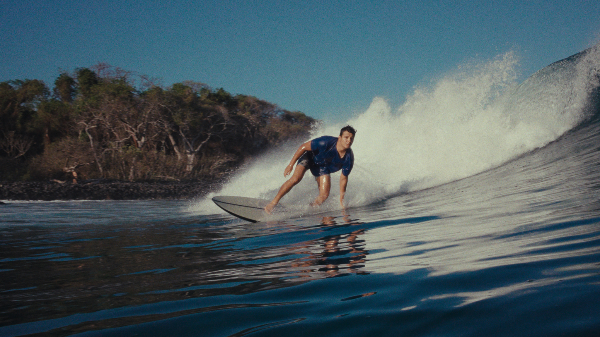 Surfer carving a turn with spray against a jungle shoreline