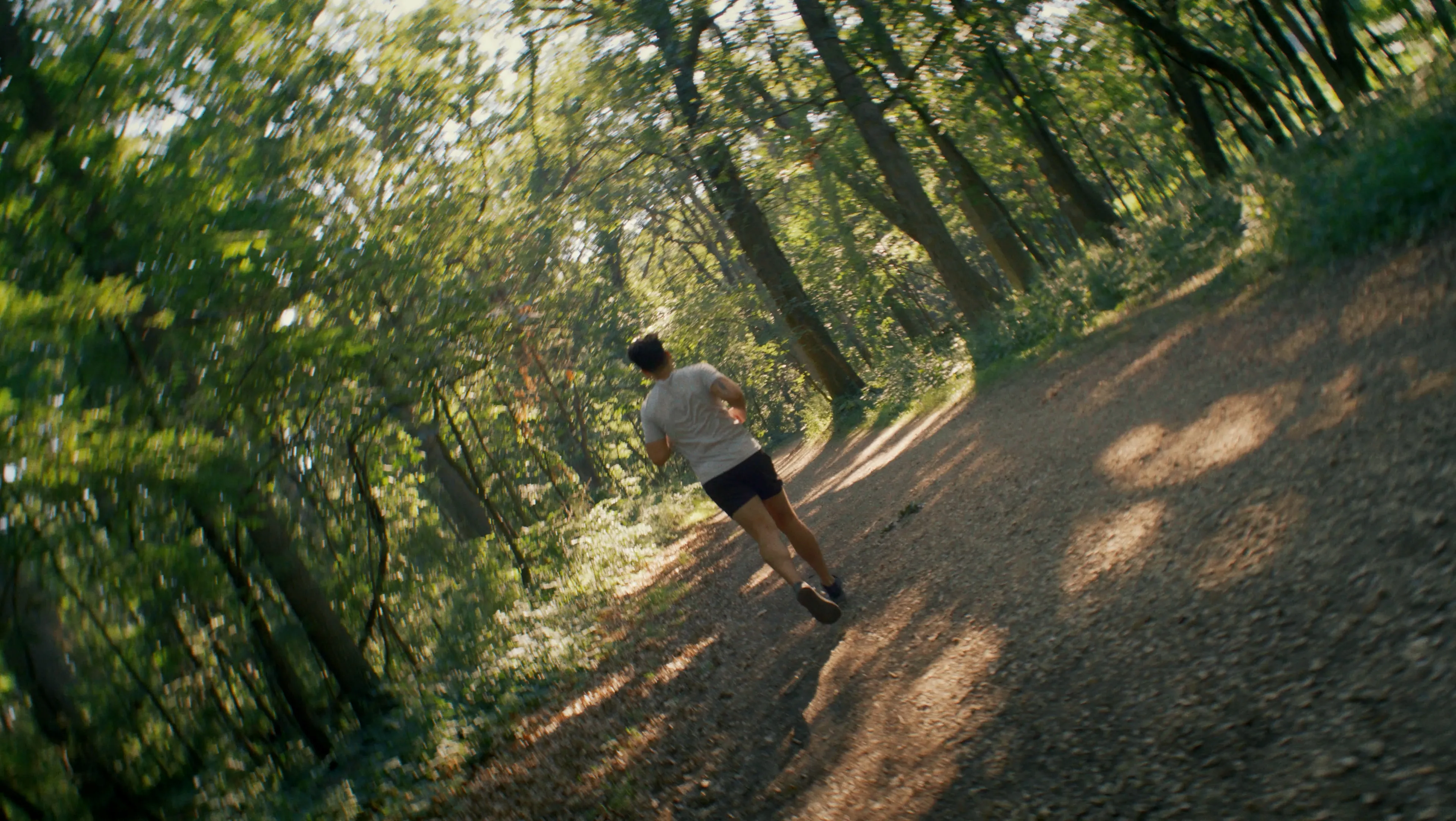 Runner in a white tee on a sunlit forest trail