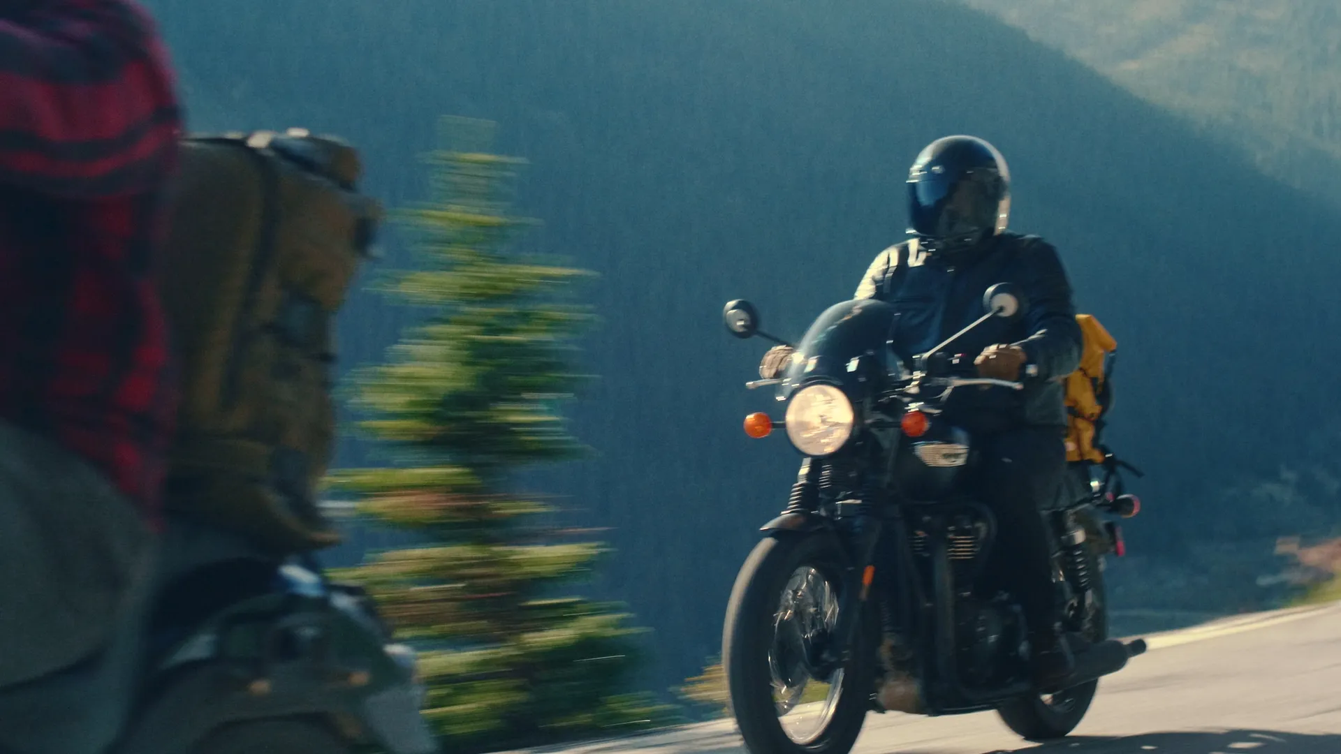 Rider on a Triumph motorcycle with yellow panniers passing evergreens