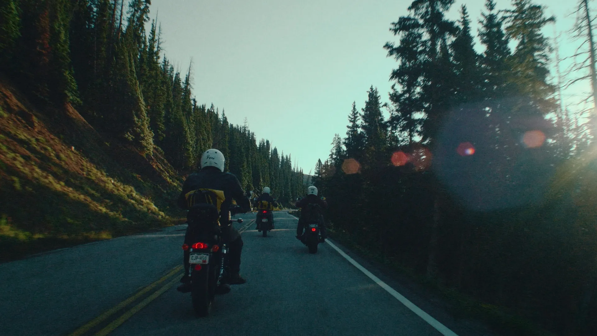 Motorcyclists on a curving forest highway with lens flare