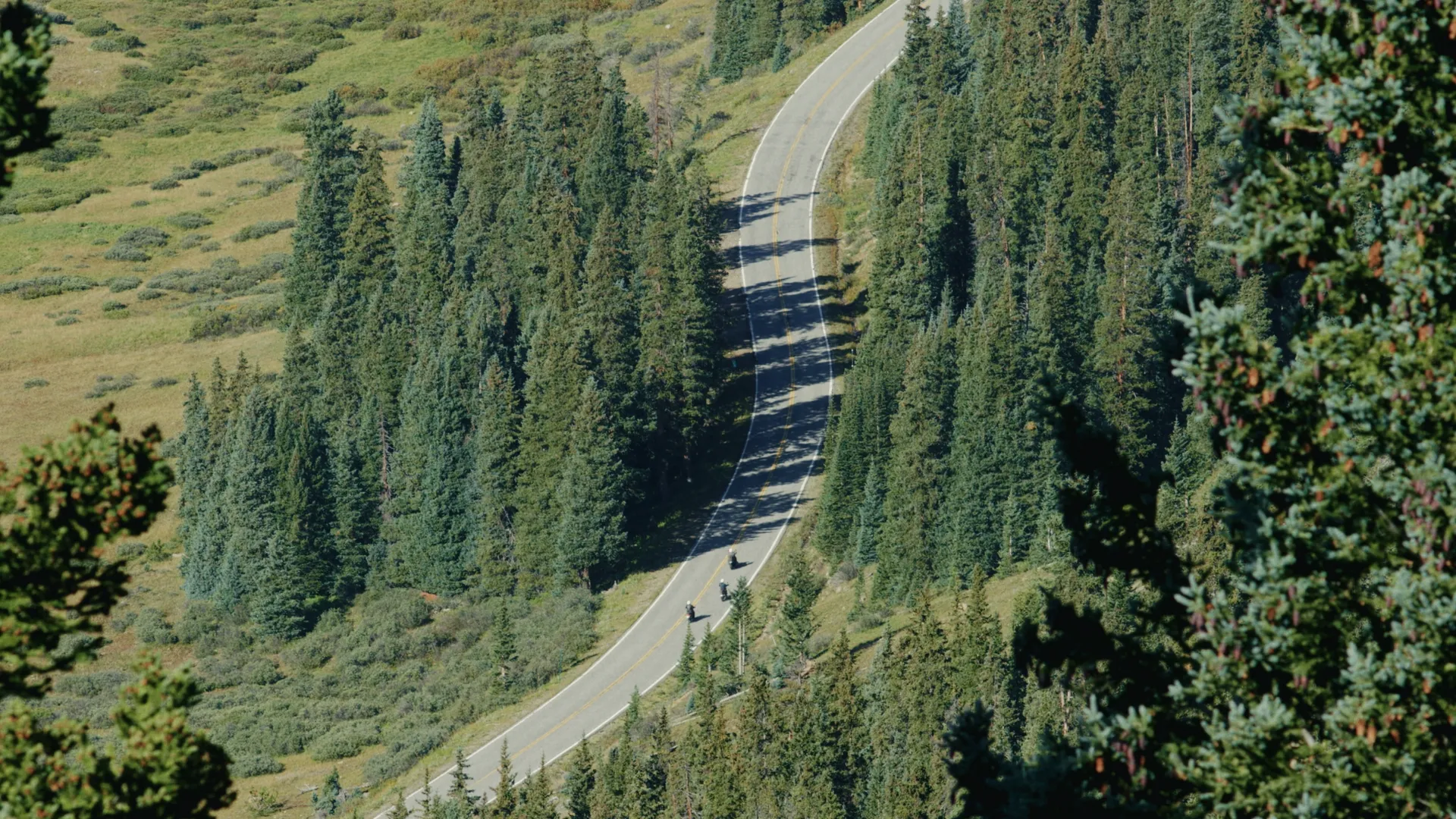 Aerial view of a road winding through evergreen forest