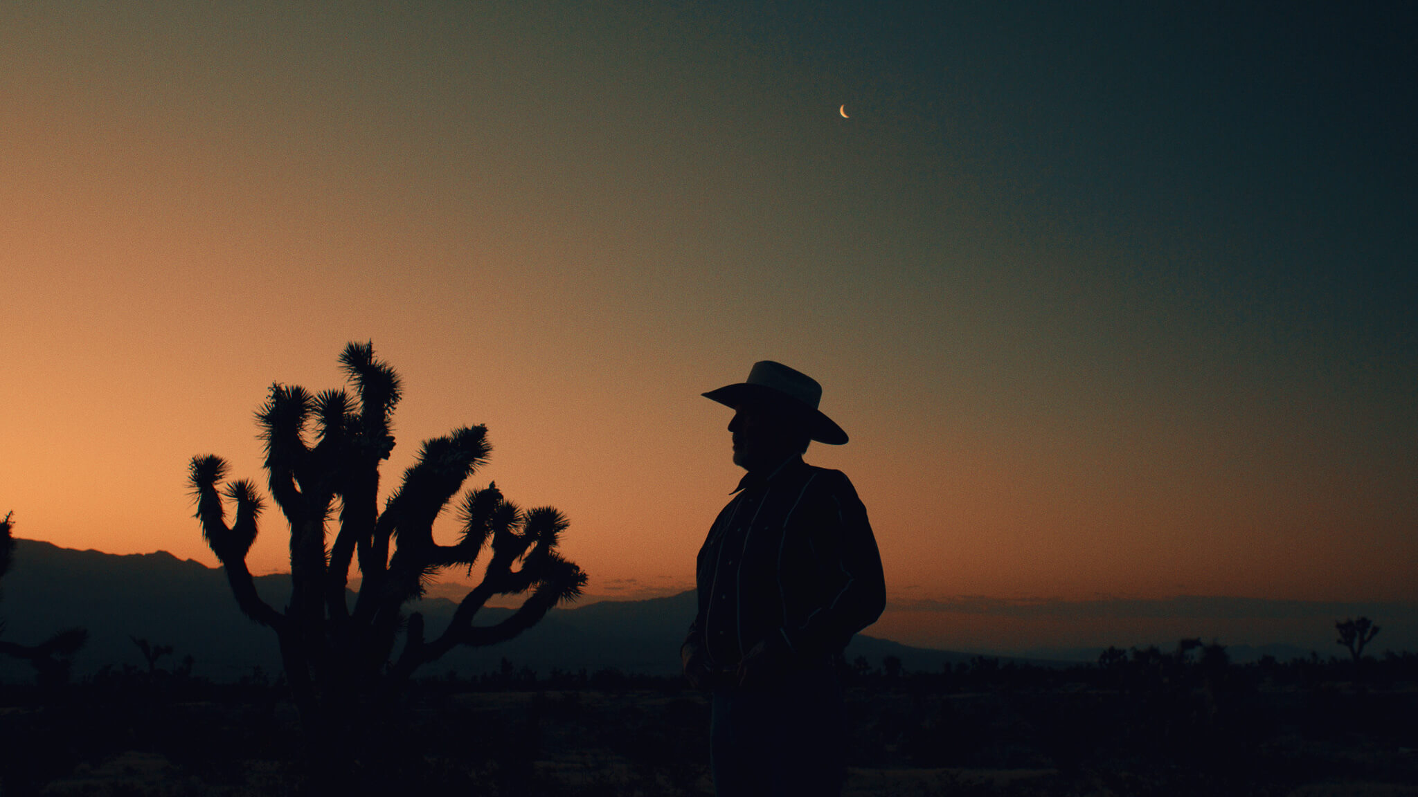 Cowboy silhouetted beside a Joshua tree at dusk