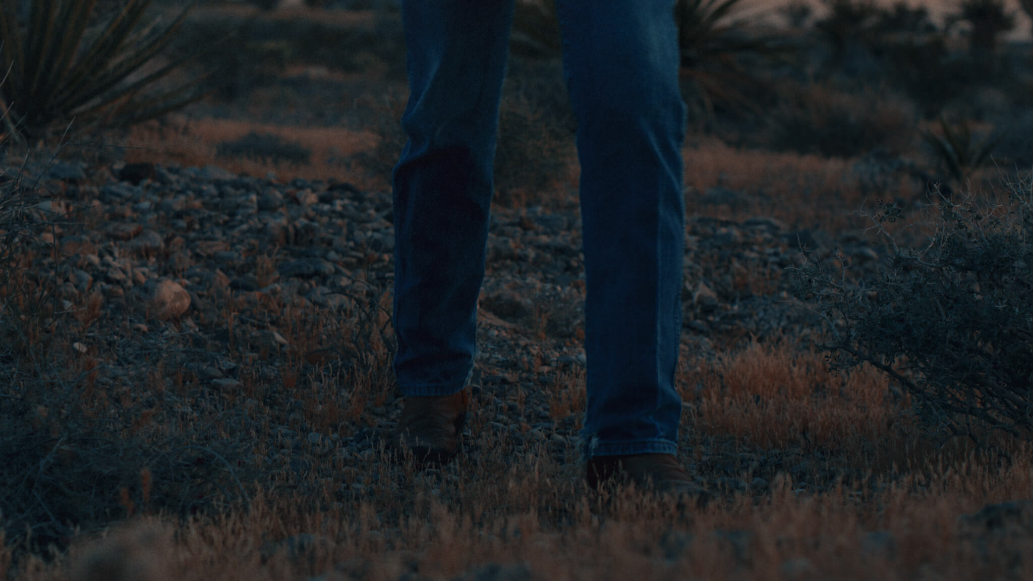 Jeans and boots walking through desert scrub