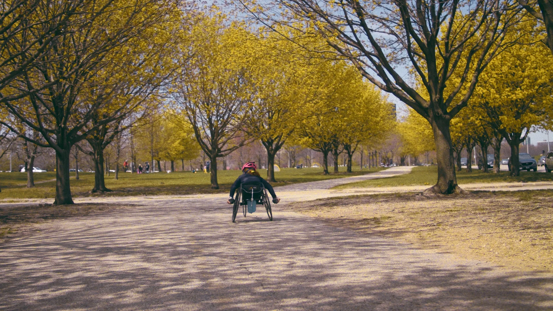 Racing wheelchair speeding down a tree-lined path