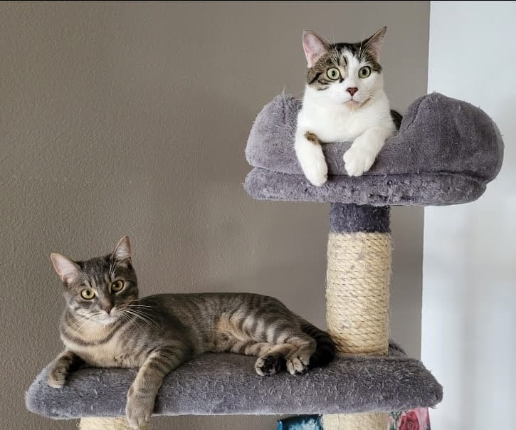 Dog's owner and dog named Goyave in a park