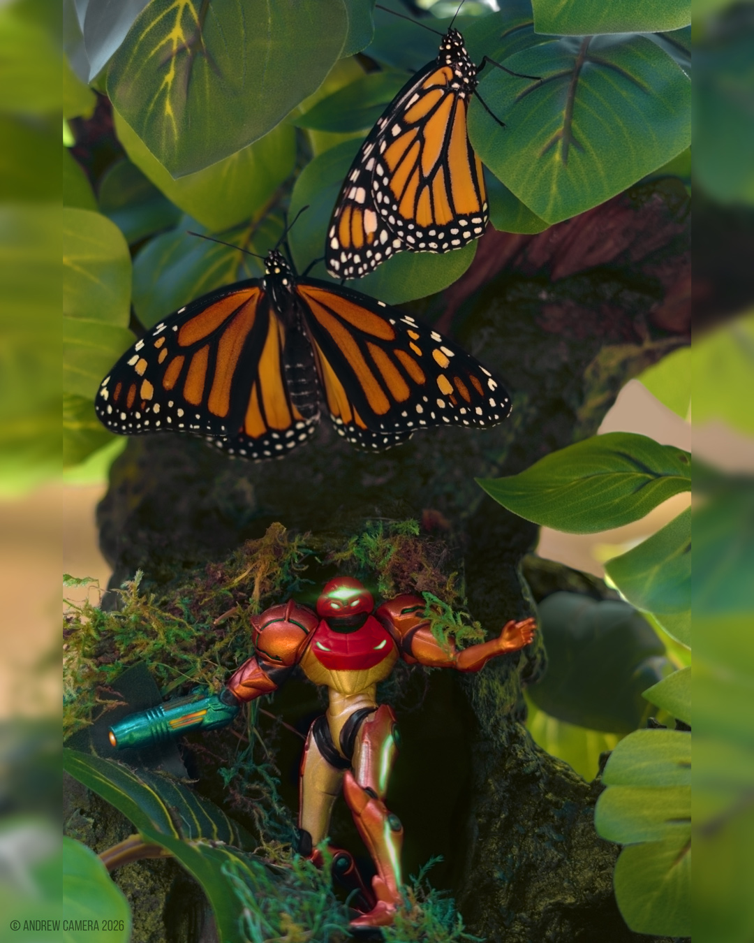 Emergence