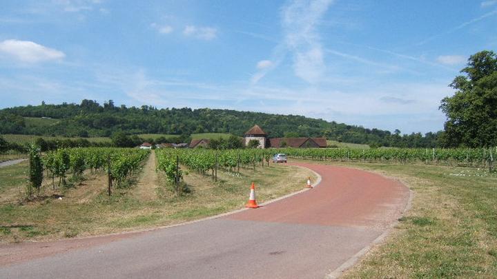 Denbies Wine Estate