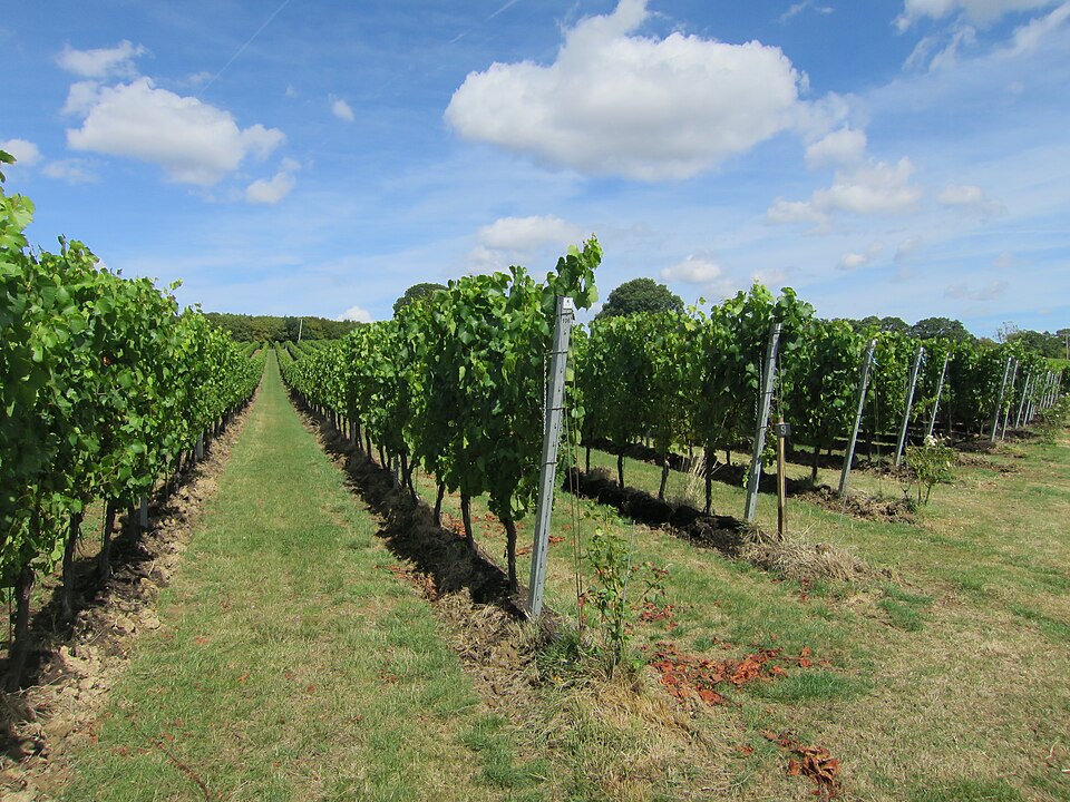 Gusbourne