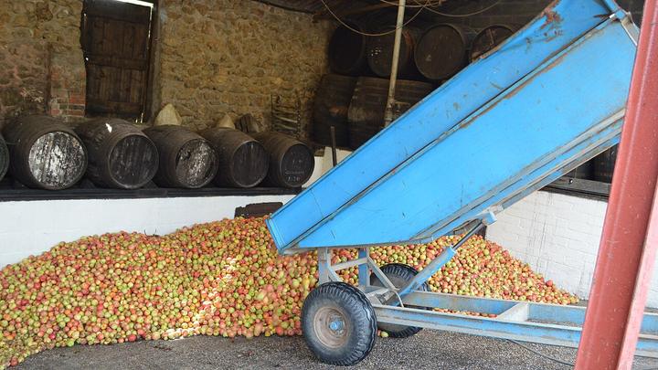 Perry's Cider