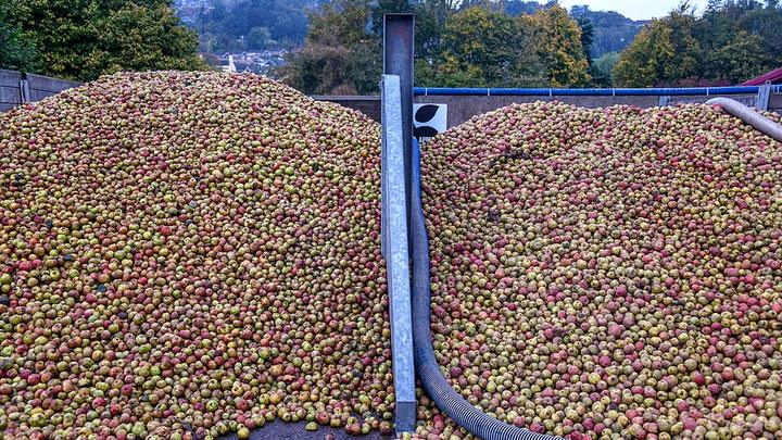 Sandford Orchards
