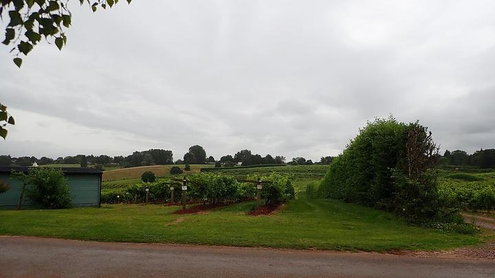 Three Choirs Vineyards