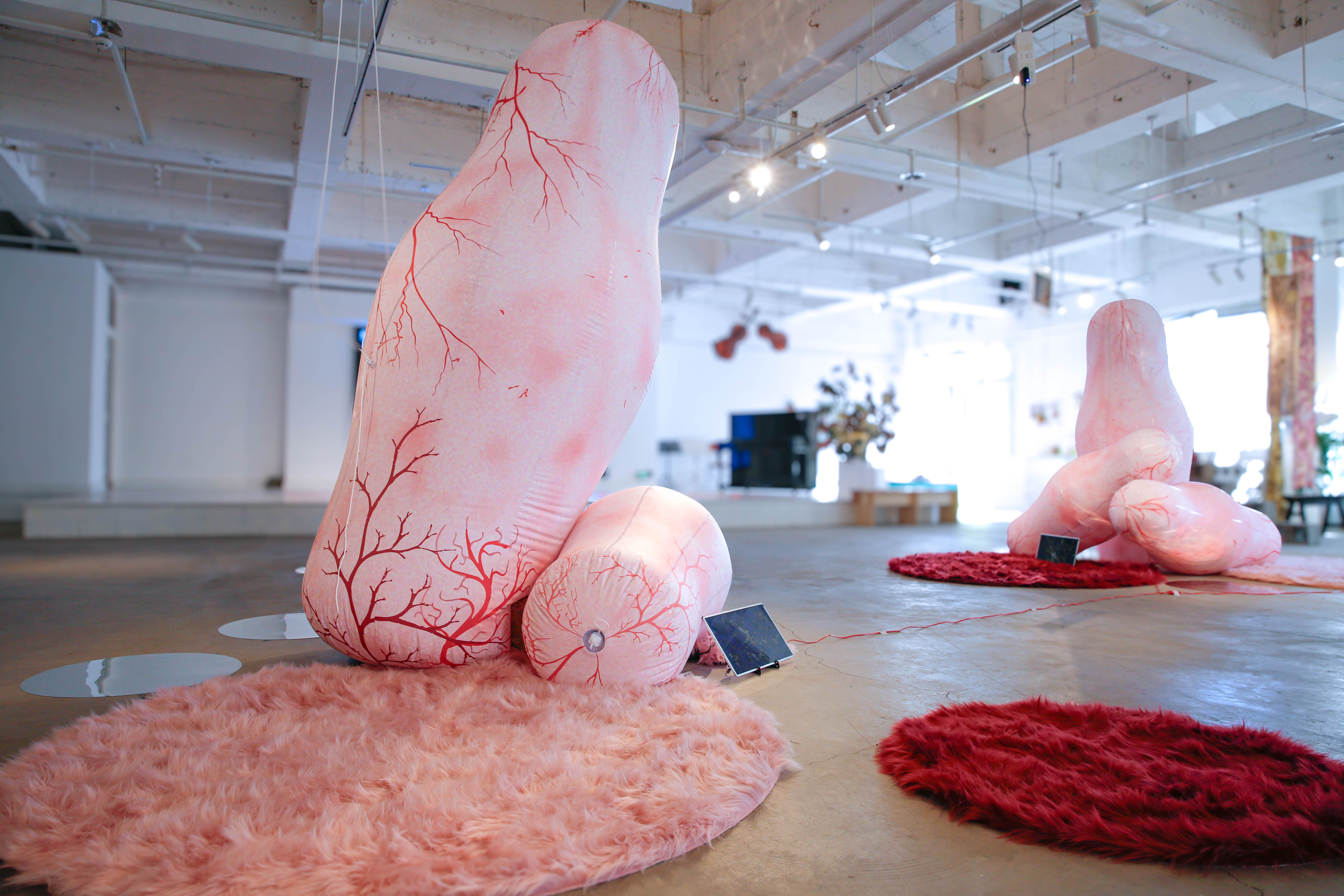 In the Field of Becoming