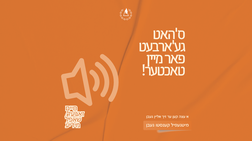 Chaim Sabel / Shuffle Media 3