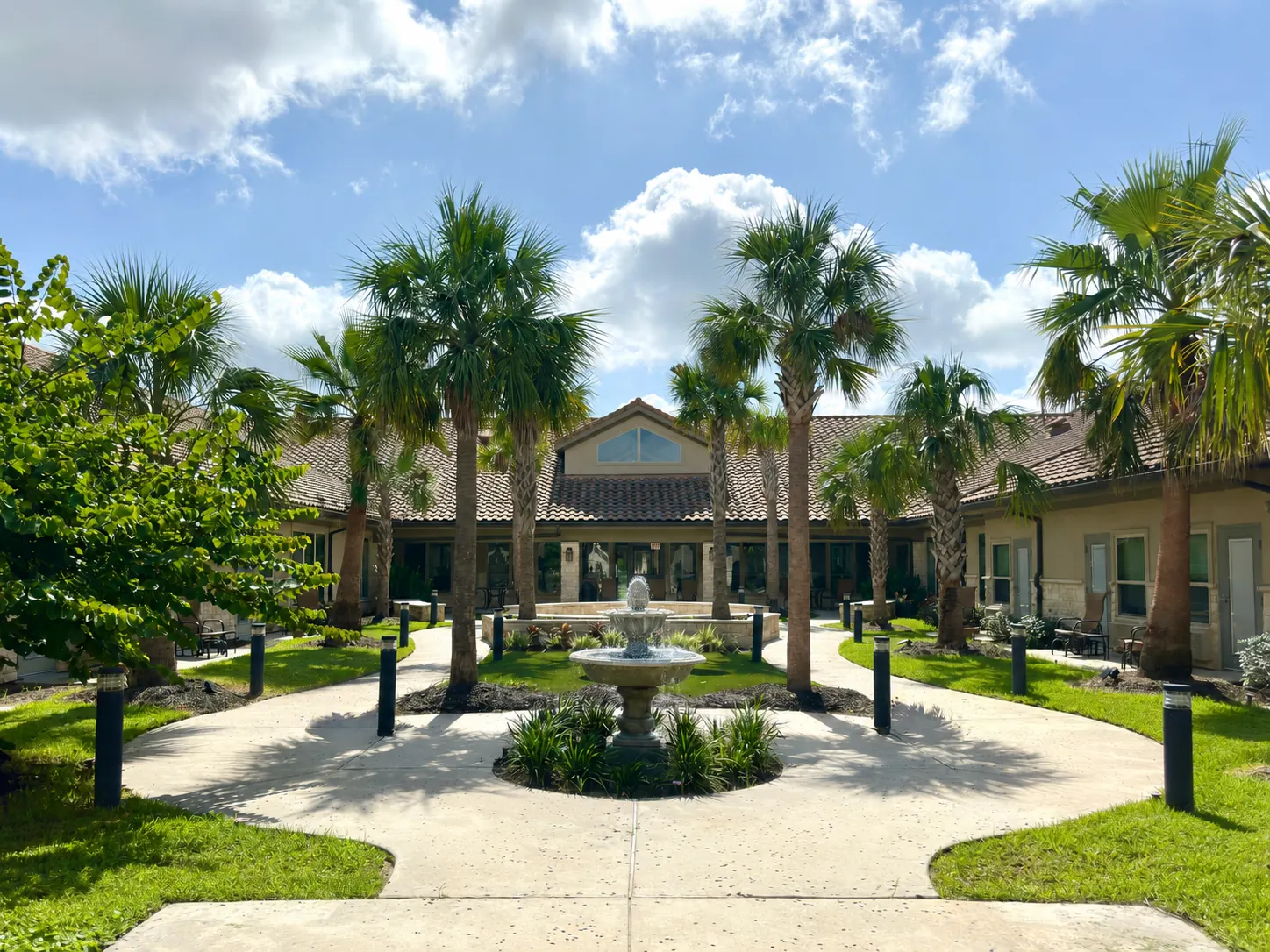 Sunny palm-lined courtyard at the Cathedral Life Centre