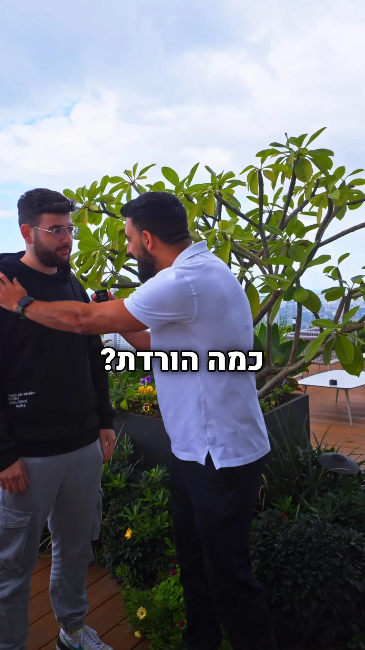 תומר לוי