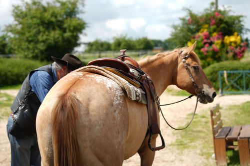 Cruise Tours - Hotel Webflow Template