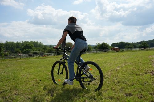 Cruise Tours - Hotel Webflow Template