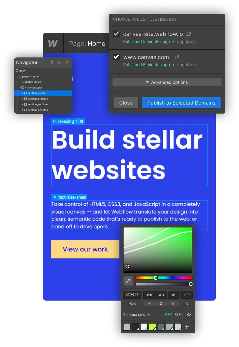 Webflow dashboard for Betaflow Expert