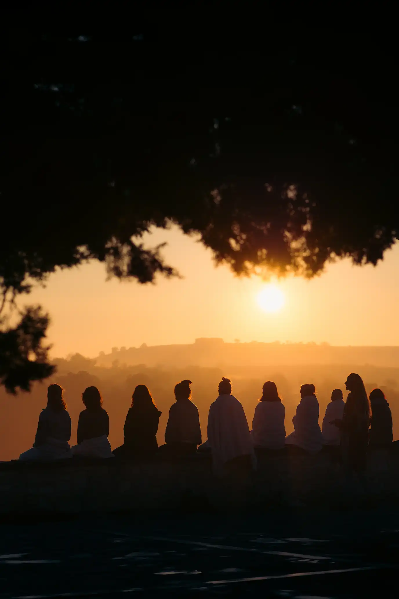 Silhouettes of people sitting on a ledge under tree branches, watching the sunset over a misty landscape.