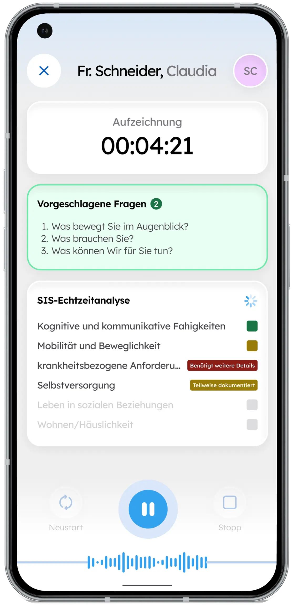 Ein Mockup des SIS-Dokumentationsprozesses und der Analyse in den verschiedenen Themenfeldern.