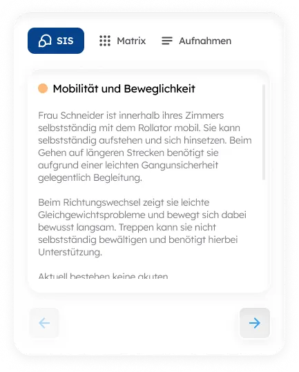 Ein Mockup eines bereits verarbeiteten SIS-Themenfelds.