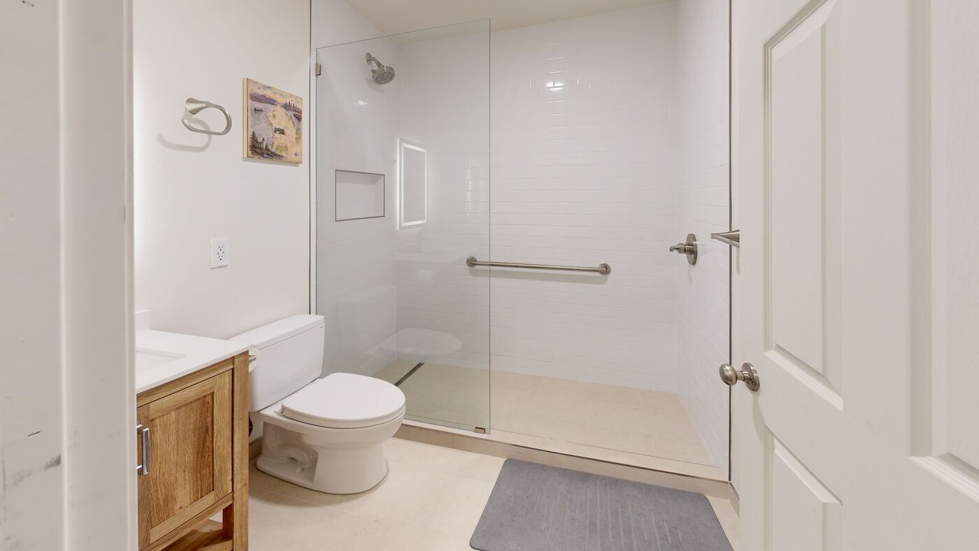 Finished basement bathroom with walk-in shower, linear drain and grab bar