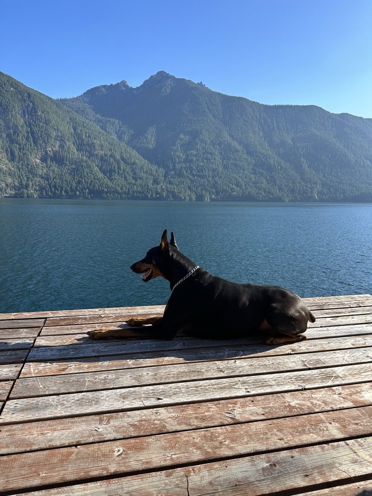 Chopper lying on a dock by a mountain lake