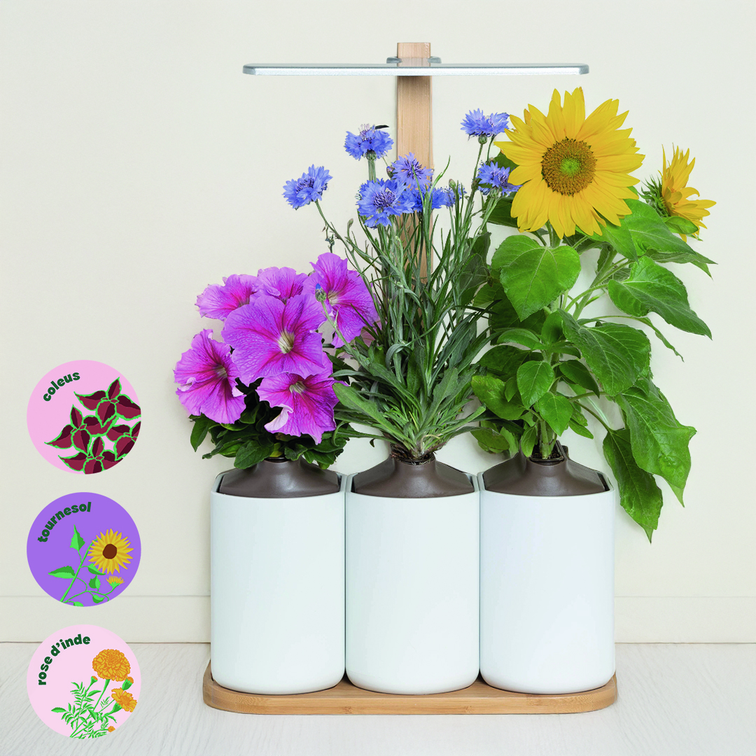 Lilo Fleurs et Ornementales, jardinière autonome compact et design