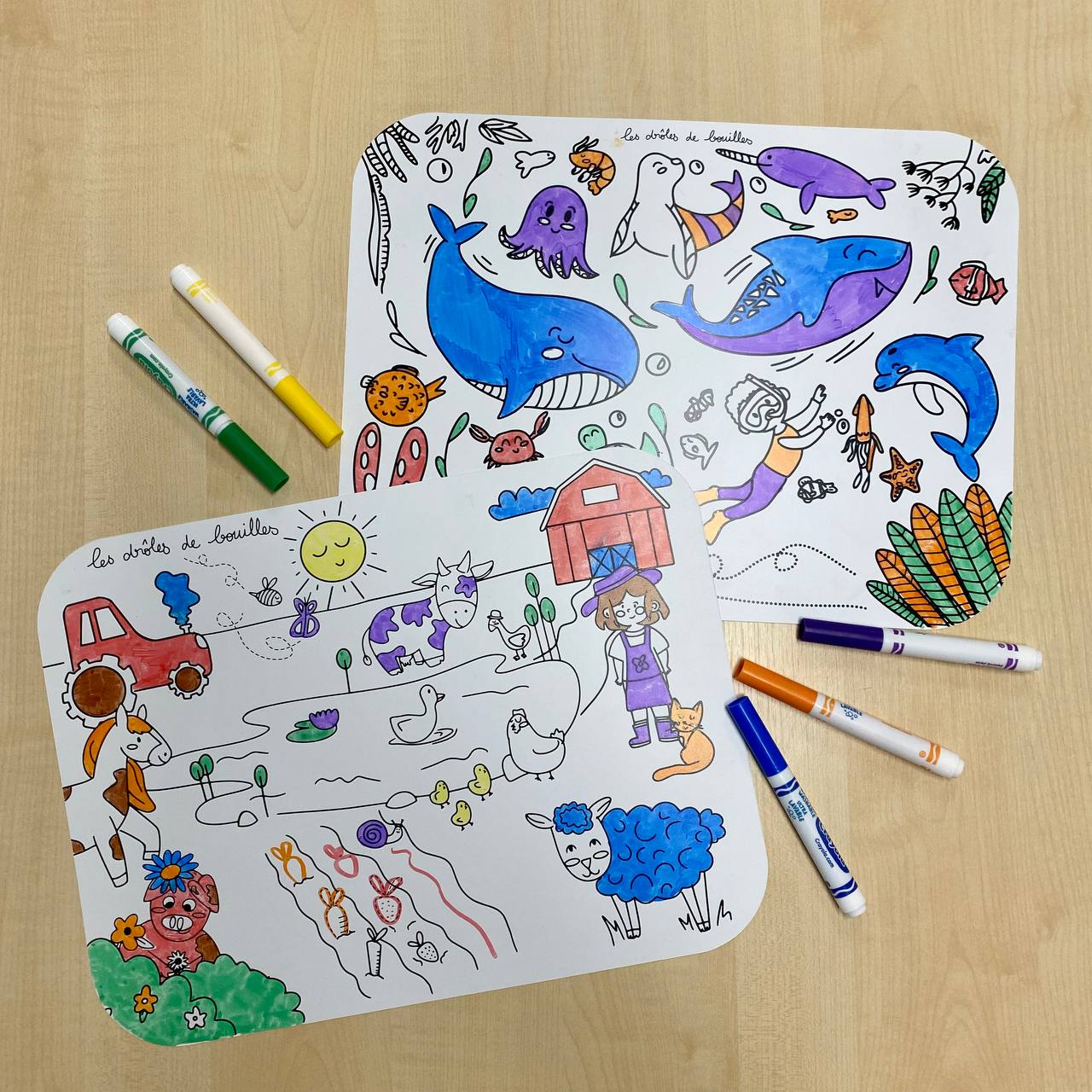 Lot de 2 Sets de table de coloriage réutilisables et lavables