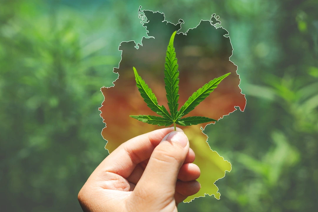 Hand hält ein Cannabisblatt vor einer Deutschlandkarte in Schwarz-Rot-Gold – Symbolbild für Cannabis Konsum in Deutschland