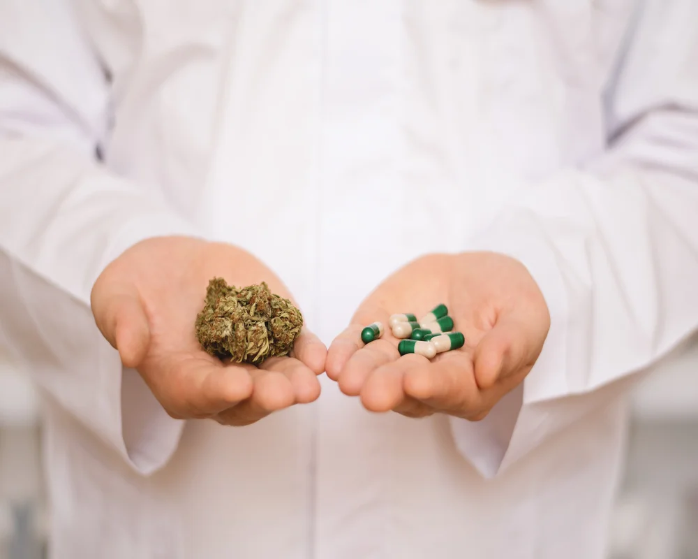 Arzt hält in einer Hand Cannabisblüten und in der anderen grün-weiße Kapseln – Vergleich von Cannabis und Antidepressiva