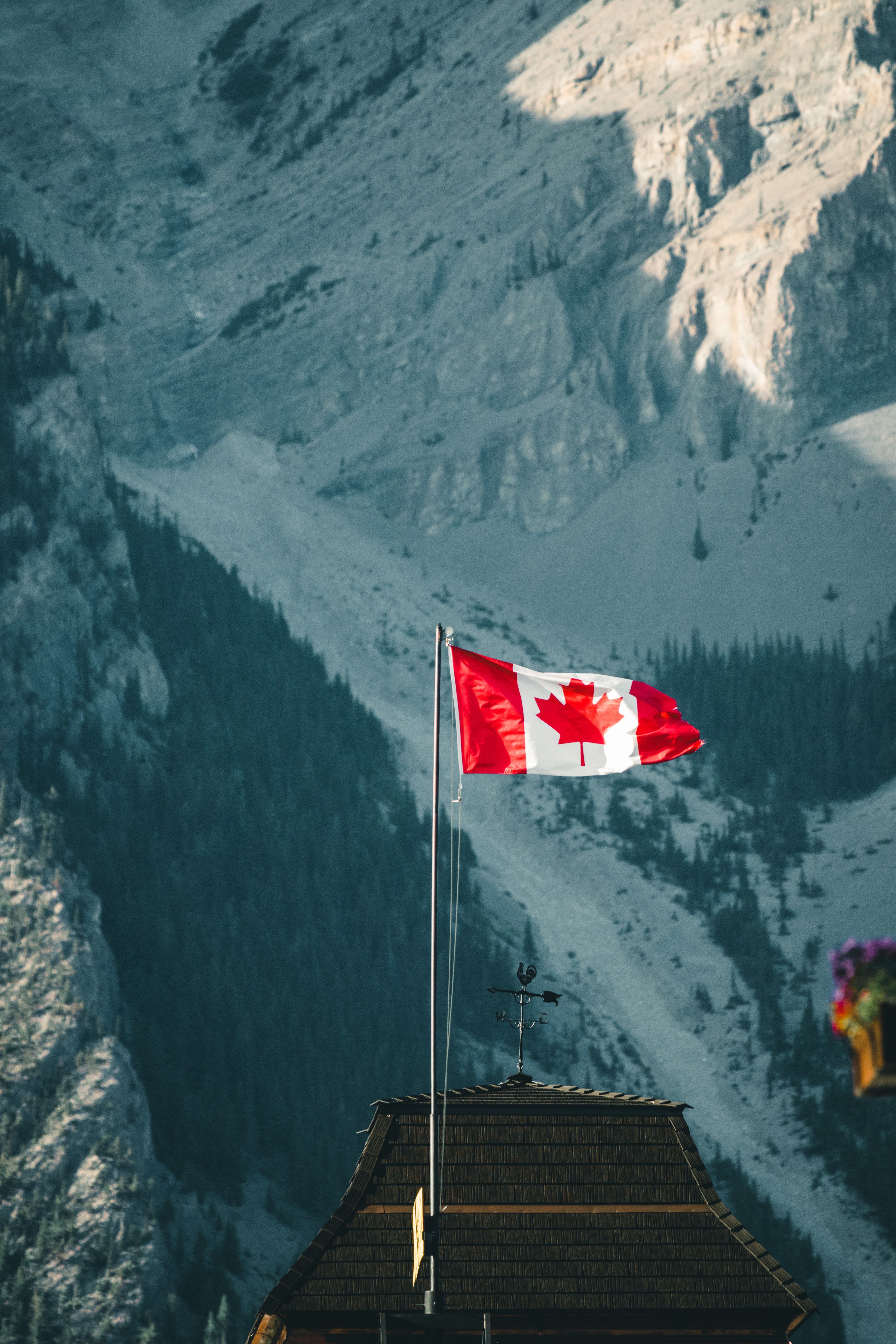 Định cư Canada diện doanh nhân tỉnh bang 2026: Điều kiện, chi phí và lộ trình - hình ảnh 3