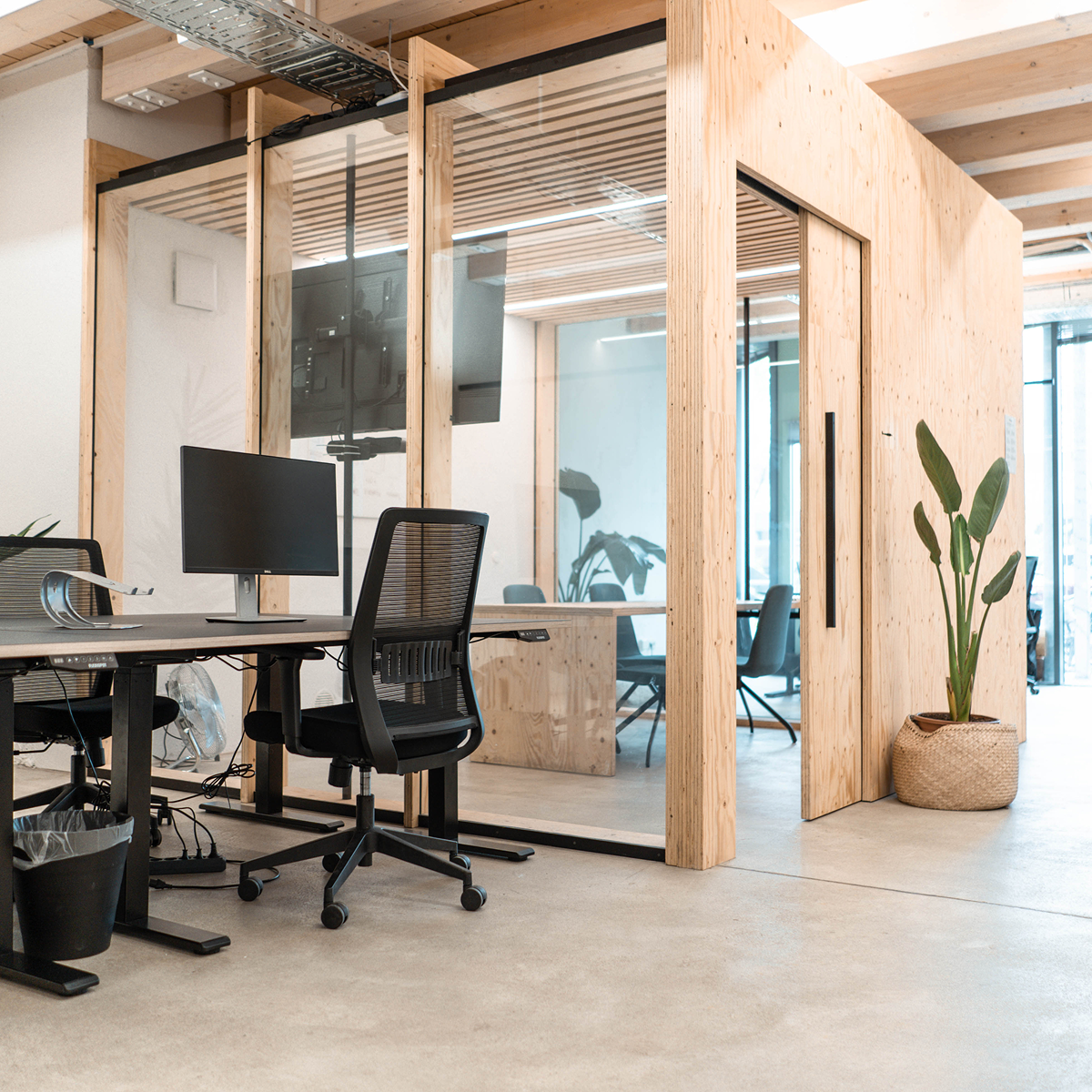 Helle Büroräumlichkeiten von adfriends Online Marketing Agentur in Köln mit einem verglastem Meetingraum und Pflanzen.