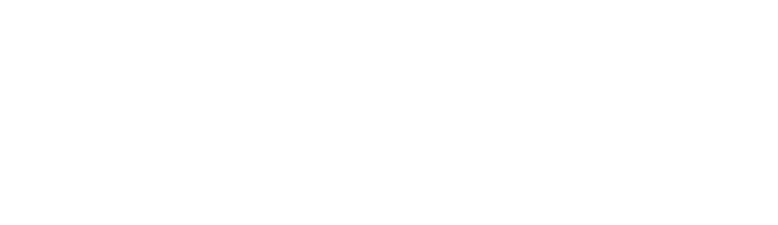 Logo IONOS