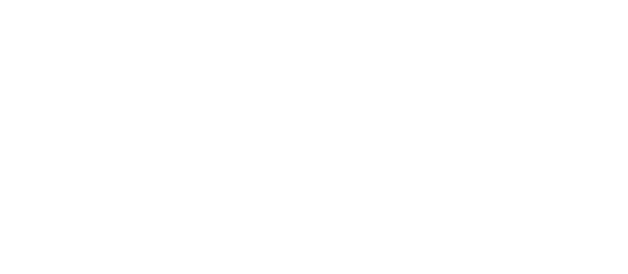 Logo Jack Wolfksin