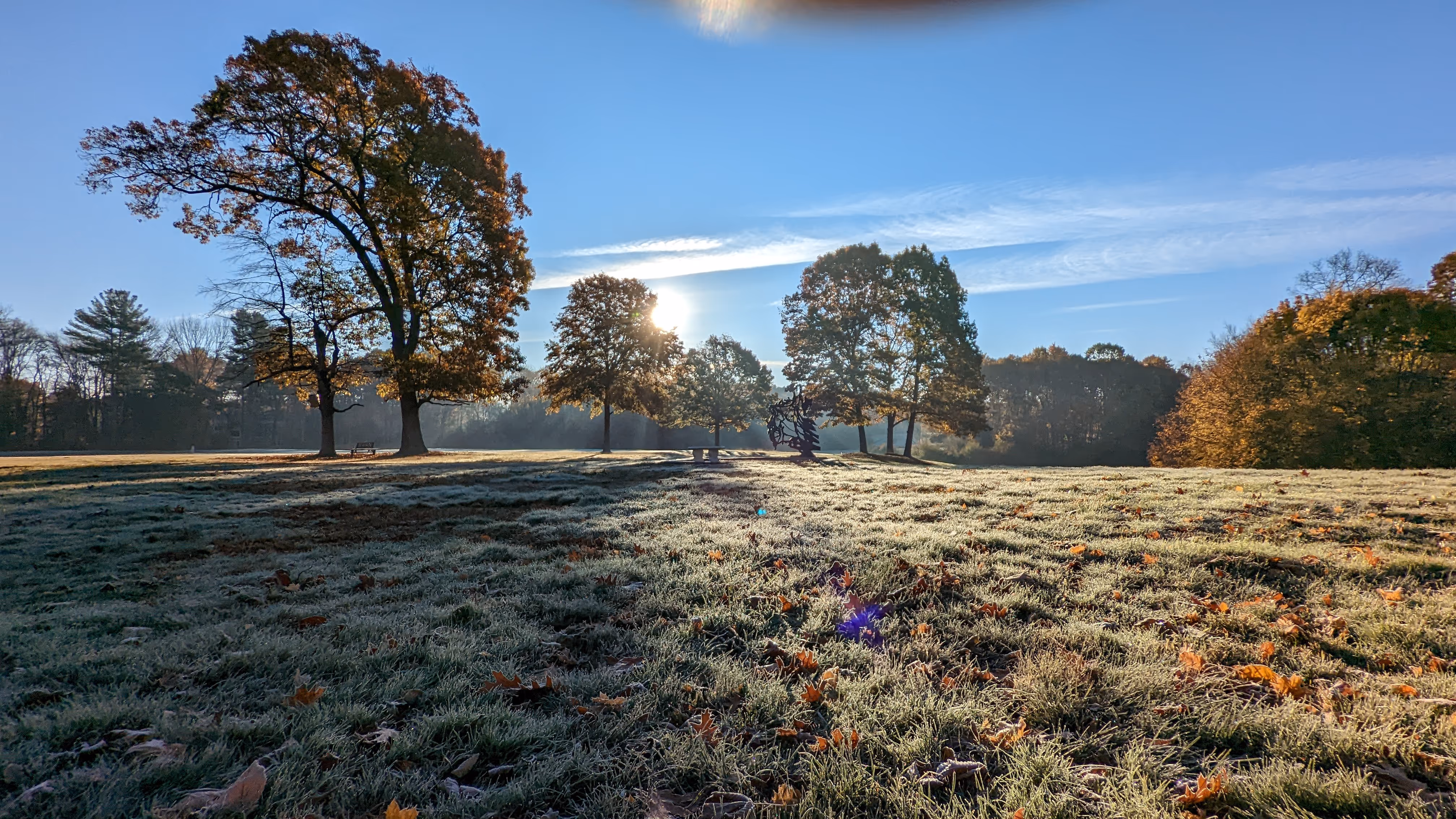 A field with tress on a frosty morning