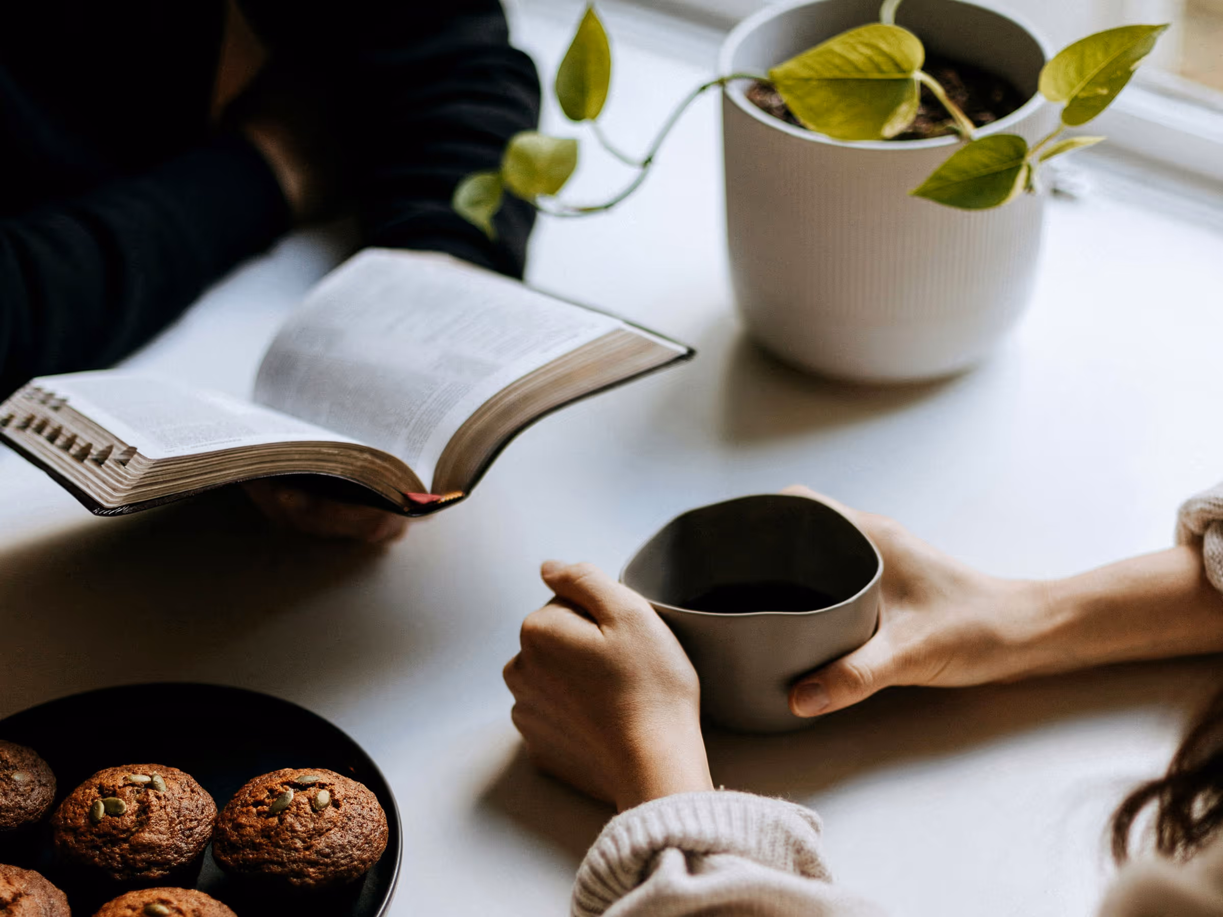 Two people at a table, one holding a book and the other a cup, with muffins and a potted plant nearby.