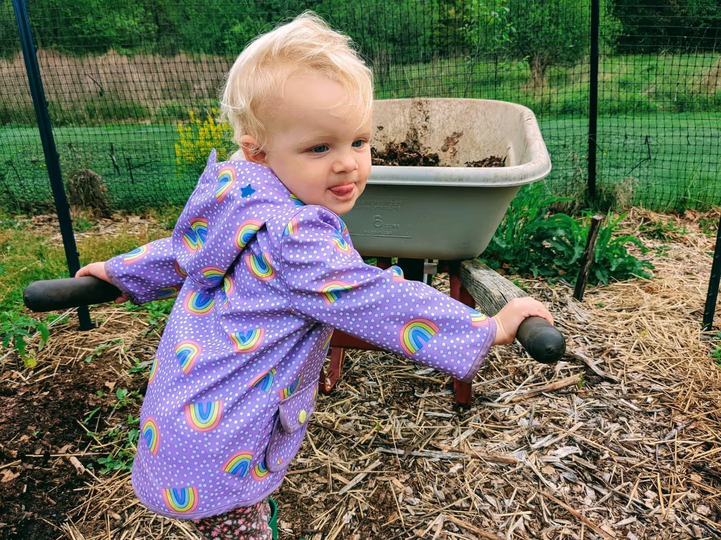 A child moves a wheelbarrow at the Giving Garden at Rolling Ridge