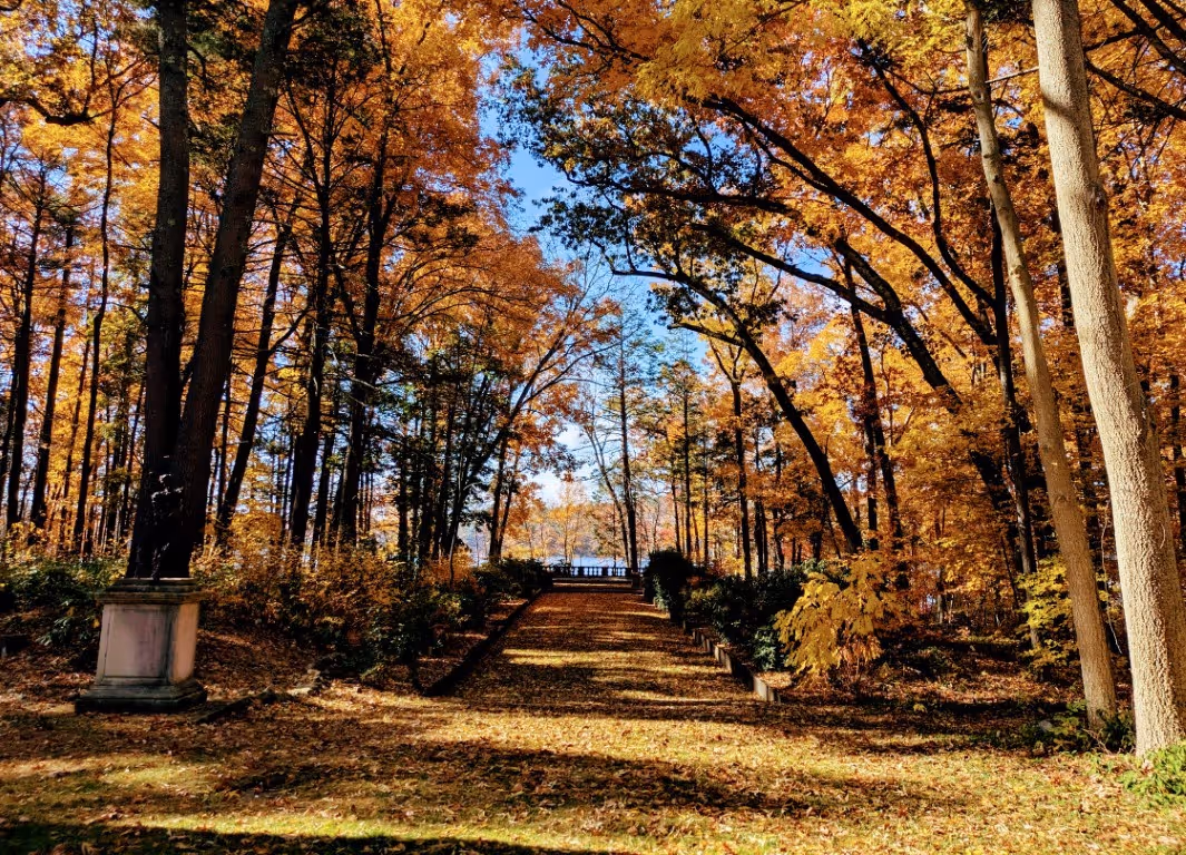 A woman sits on a bench at Rolling Ridge and writes in a journal