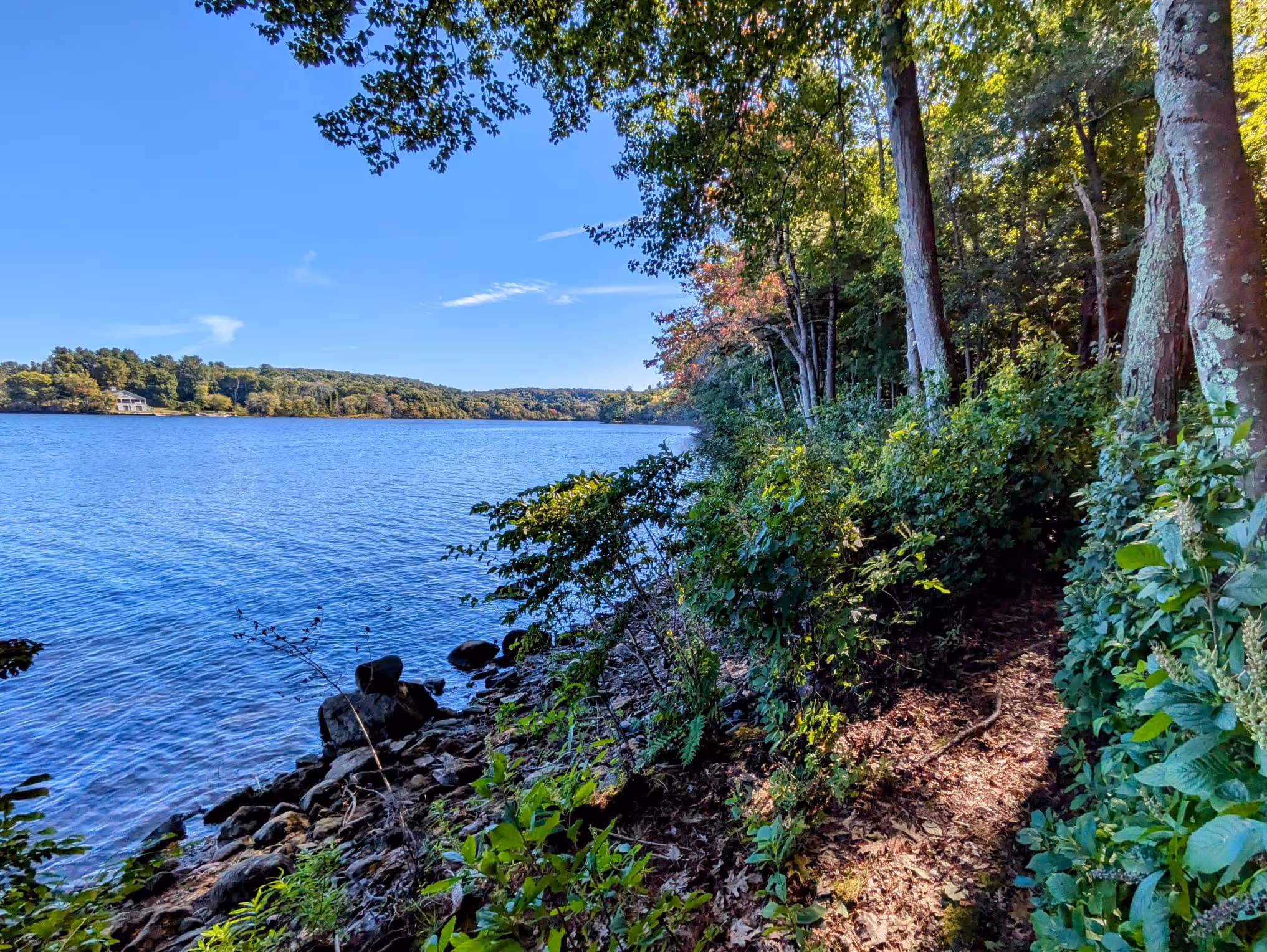 Walking trail alongside Lake Cochickewick