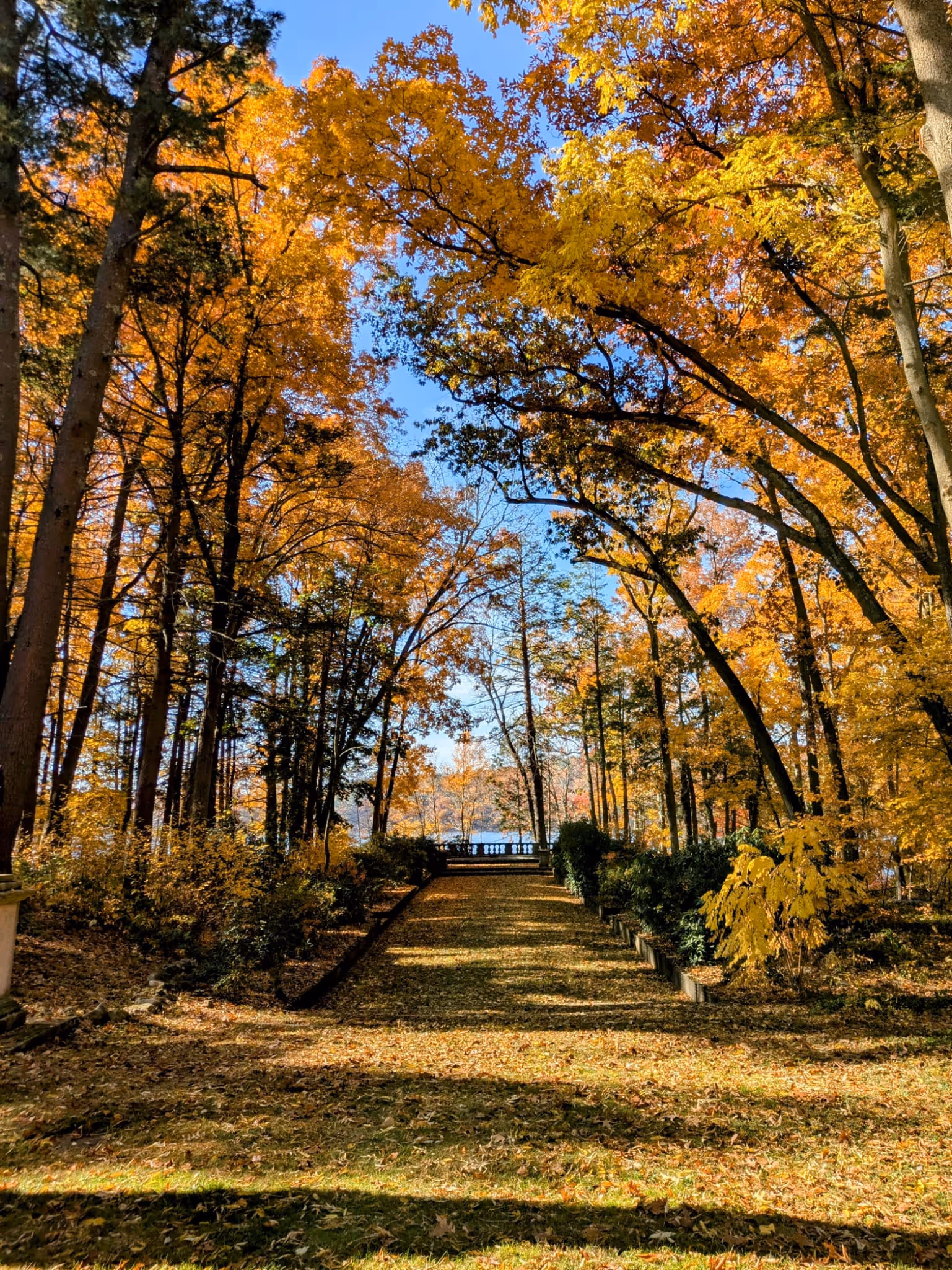 Bowling green in fall 1