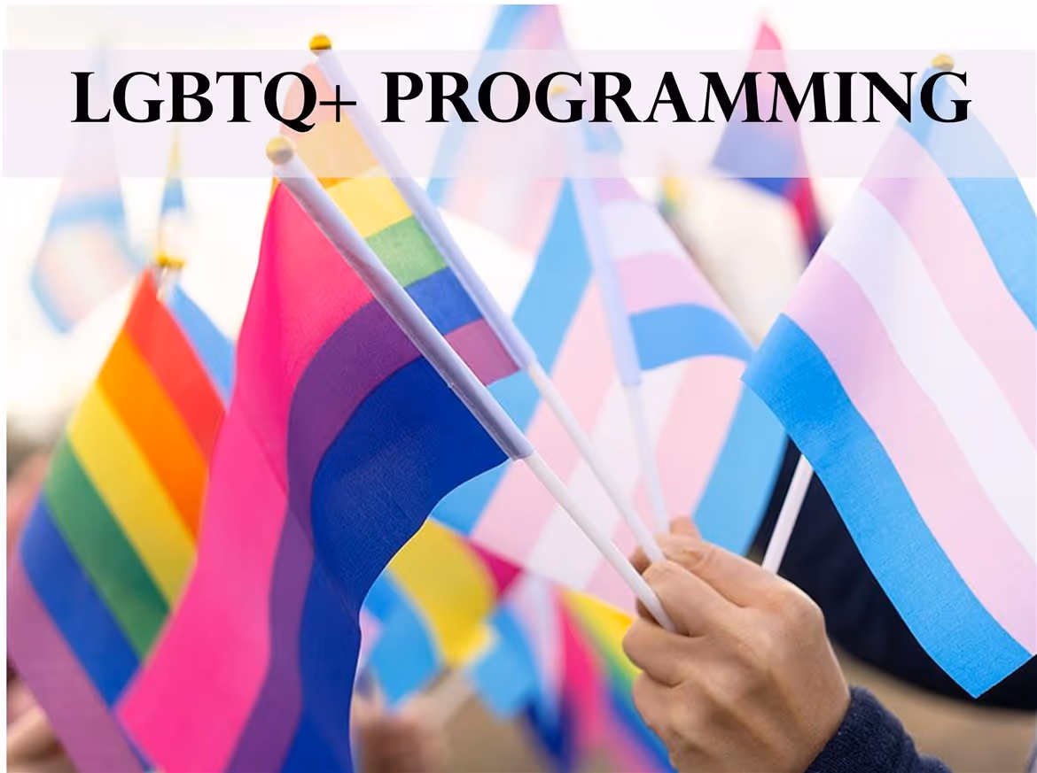 Program category image